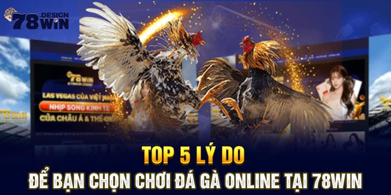 Top 5 lý do để bạn chọn chơi đá gà online tại 78win